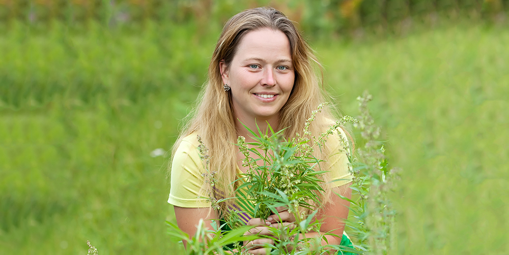 Poll • zet jij dit jaar een wietplant in de tuin? Mediwietsite